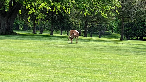 Country Club «LeRoy Country Club», reviews and photos, 7759 E Main Rd, Le Roy, NY 14482, USA