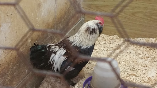 Pet Store «Co-Op Supply», reviews and photos, 2901 State St, Everett, WA 98201, USA