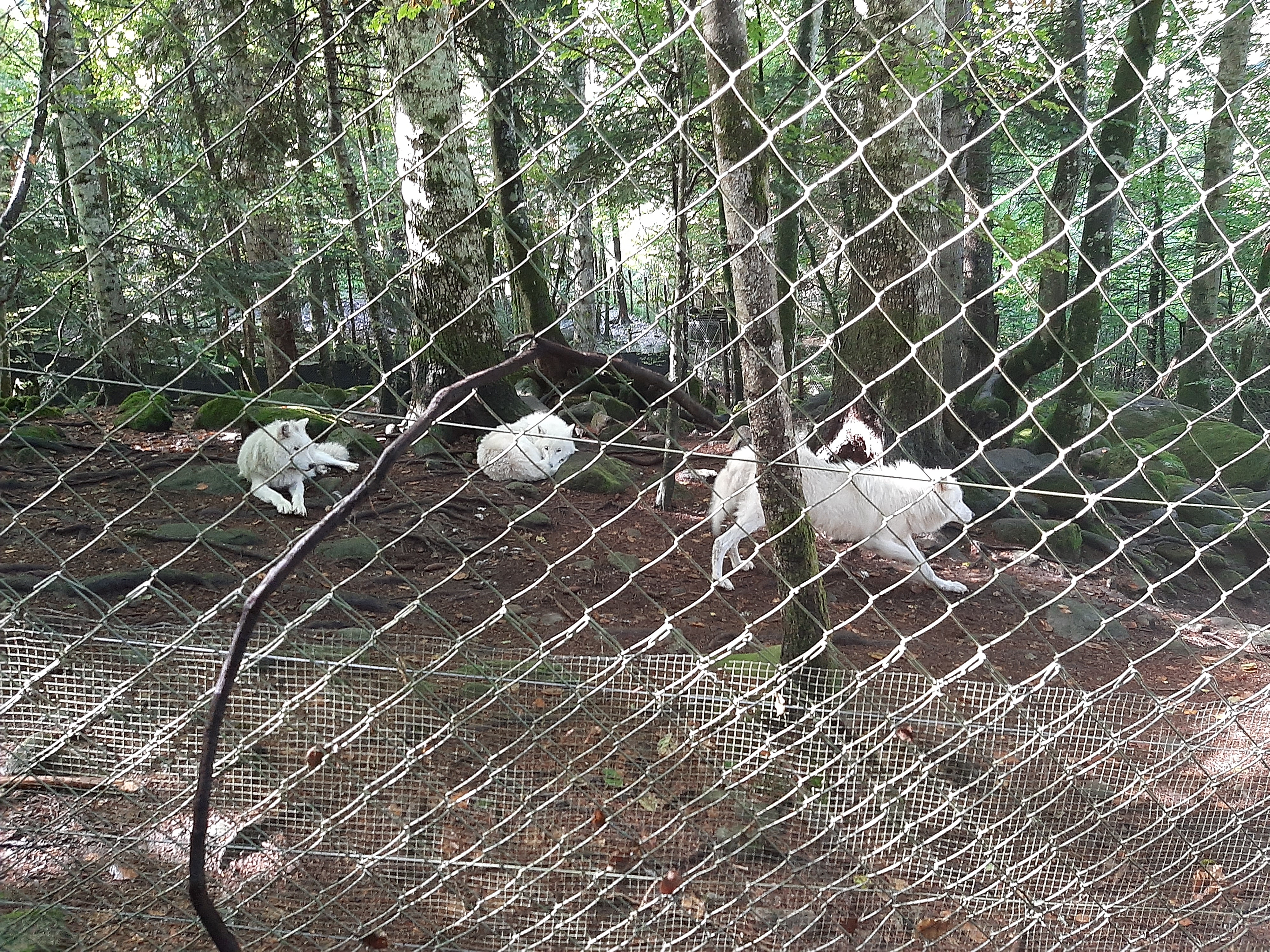 Photo n° 2 de l'avis de Luz.i fait le 27/09/2021 à 19:21