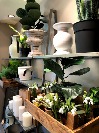 Furniture Store «Pottery Barn», reviews and photos, 2700 Clarendon Blvd r100, Arlington, VA 22201, USA