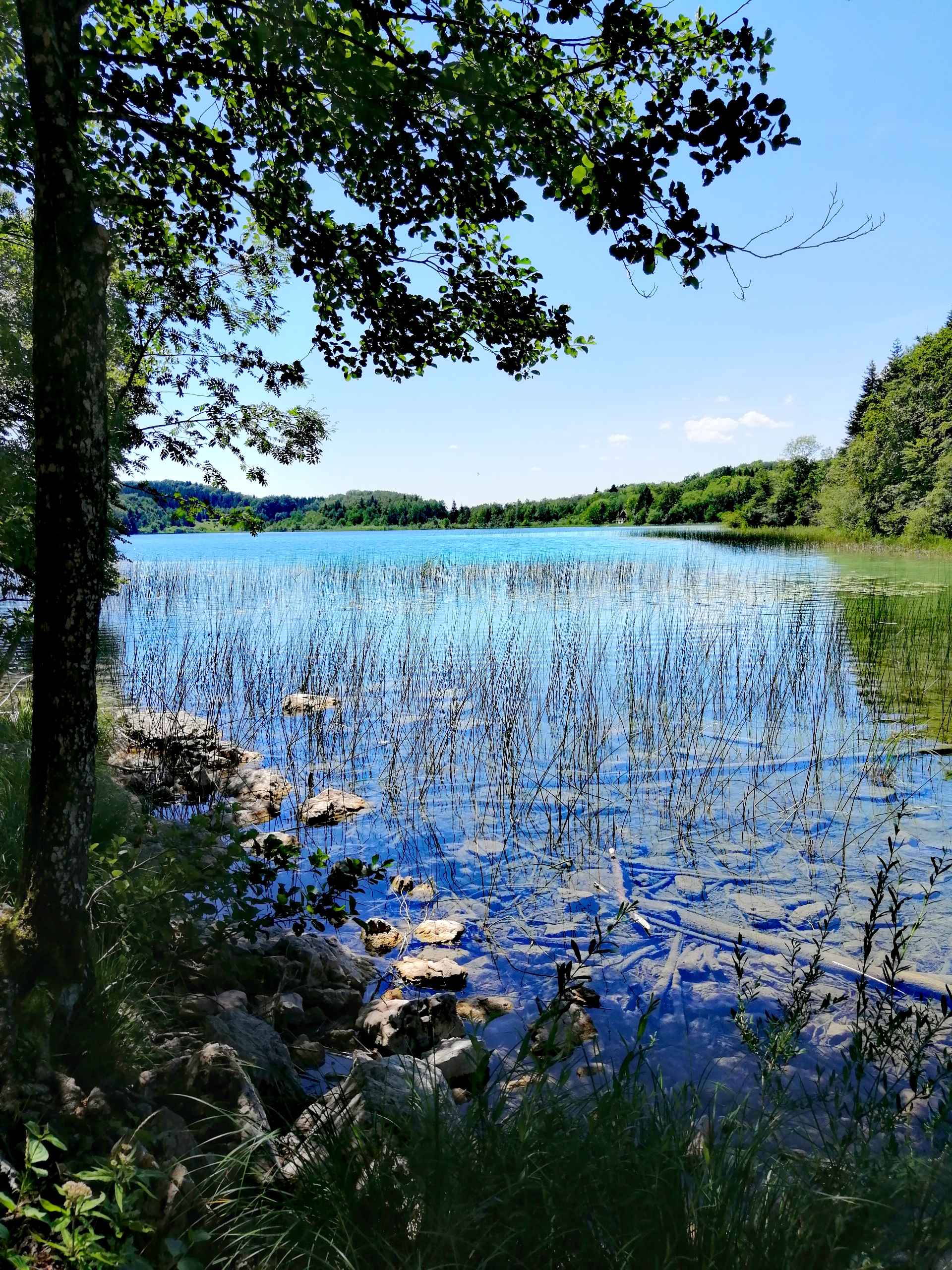 Photo n° 8 de l'avis de Au.i fait le 12/08/2020 à 16:57