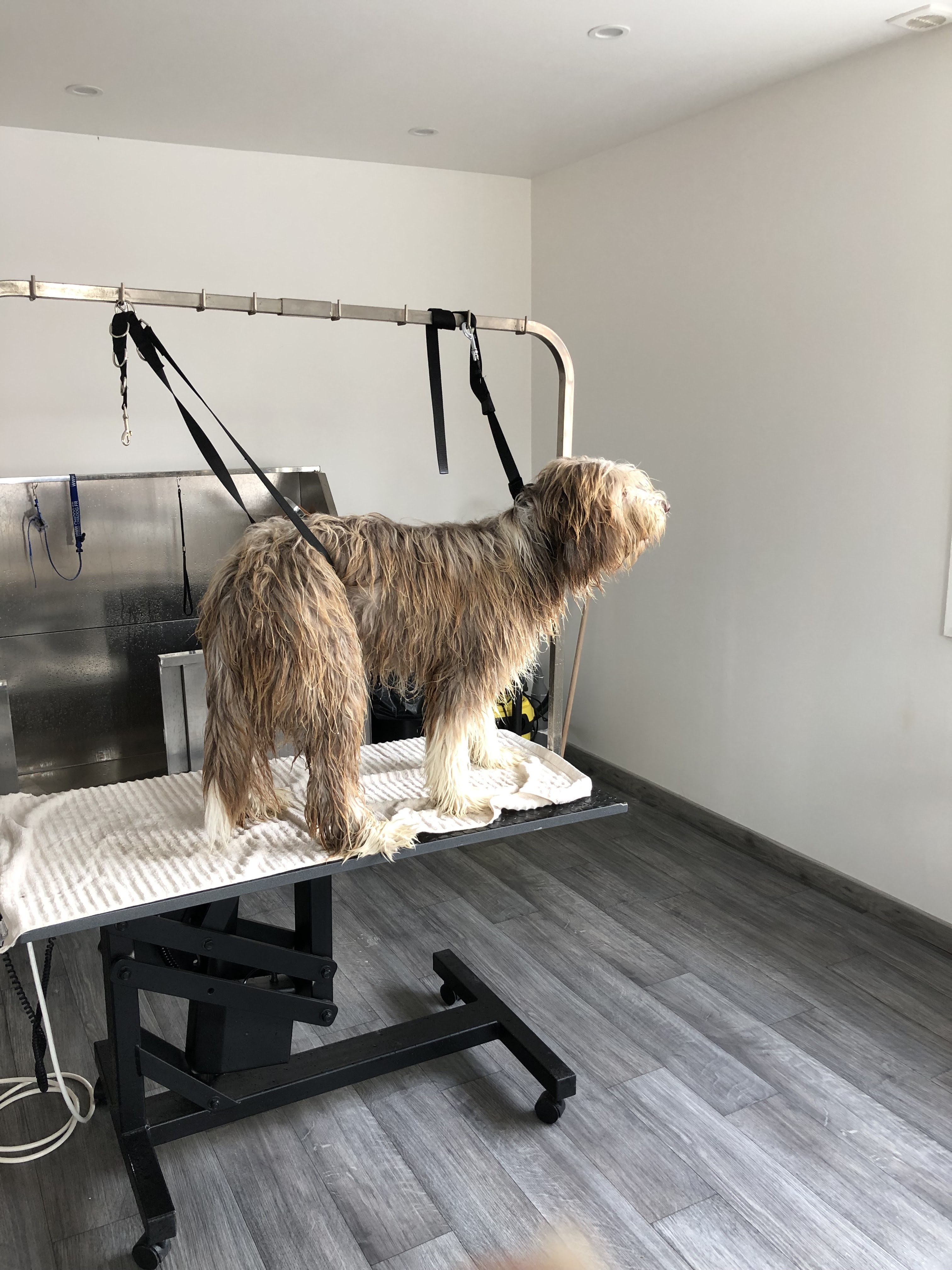 Photo n° 3 de l'avis de christophe.E fait le 05/08/2023 à 13:02