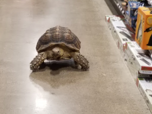 Pet Supply Store «Premier Pet Supply», reviews and photos, 31215 Southfield Rd, Beverly Hills, MI 48025, USA