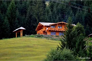 Accommodation Saru Dornei image