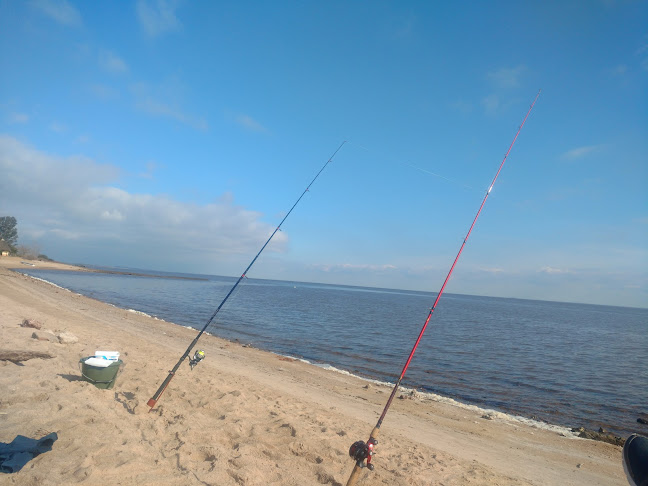 Comentarios y opiniones de Balneario La Concordia