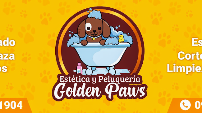 Peluqueria Canina Golden Paws - La Paz