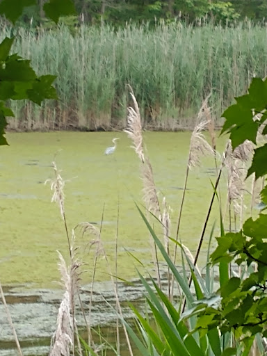 Park «Eastern Regional Park», reviews and photos, 11723 Eastern Ave, Middle River, MD 21220, USA