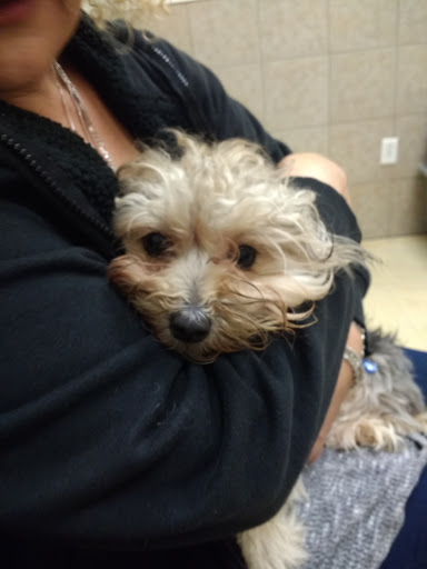 Pet Supply Store «Petco Animal Supplies», reviews and photos, 420 Harry L Dr #2, Johnson City, NY 13790, USA