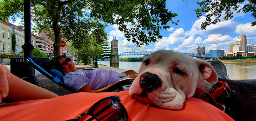 Park «George Rogers Clark Park», reviews and photos, 219 Riverside Dr, Covington, KY 41011, USA