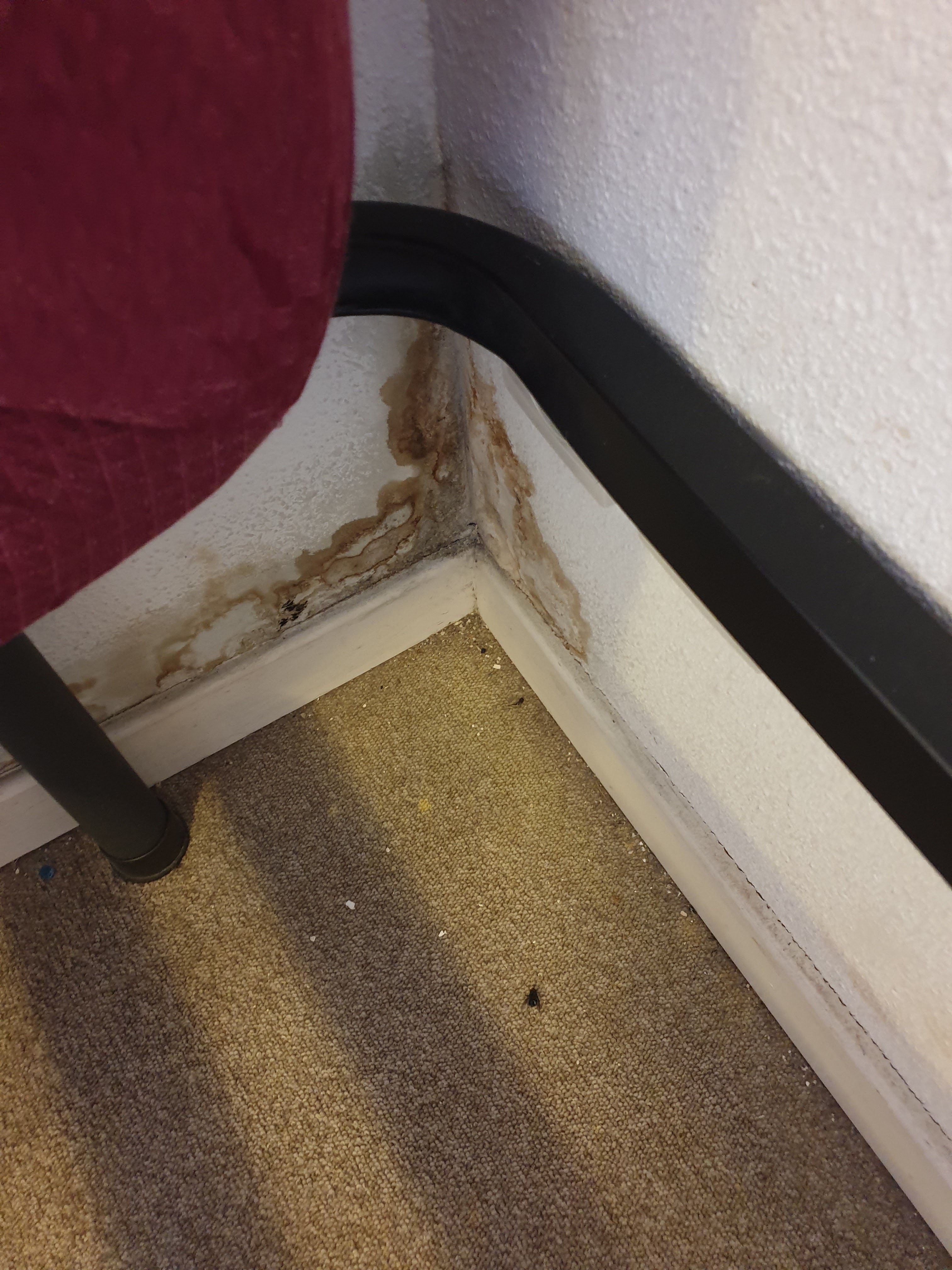 Photo n° 5 de l'avis de Sebastien.a fait le 06/07/2019 à 17:39