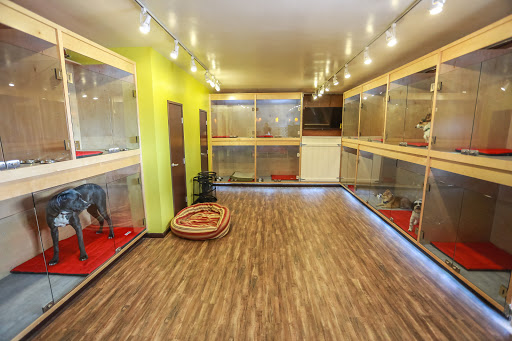 Dog Day Care Center «The Bowhaus Pet Company», reviews and photos, 2472 E Colorado Blvd, Pasadena, CA 91107, USA
