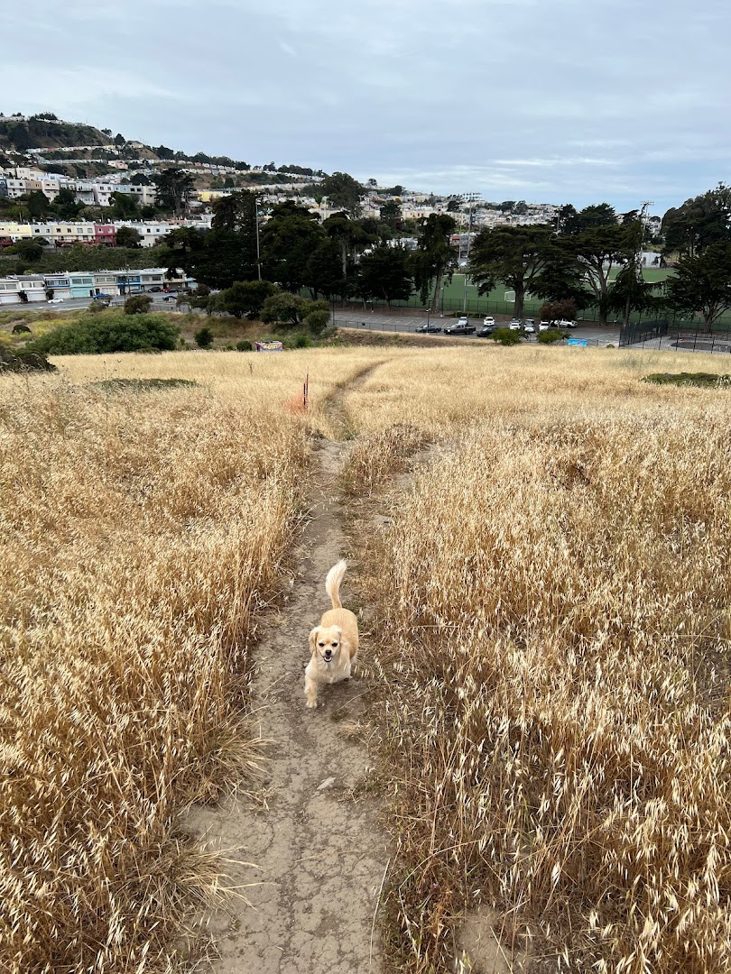 Dog Play Area | McLaren Park