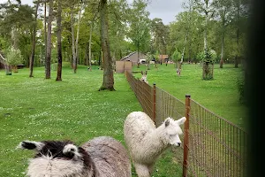 Kinderboerderij en hertenkamp Weert image