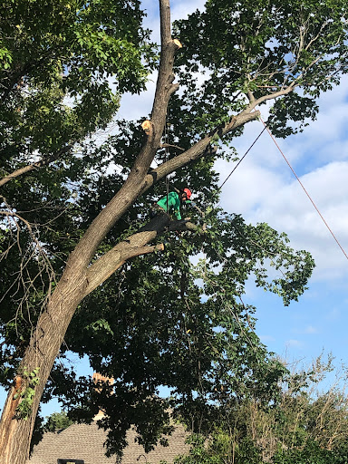 Atlanta Georgia Areas 3