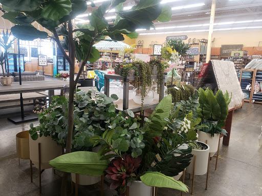 Furniture Store «Cost Plus World Market», reviews and photos, 450 River St, Santa Cruz, CA 95060, USA