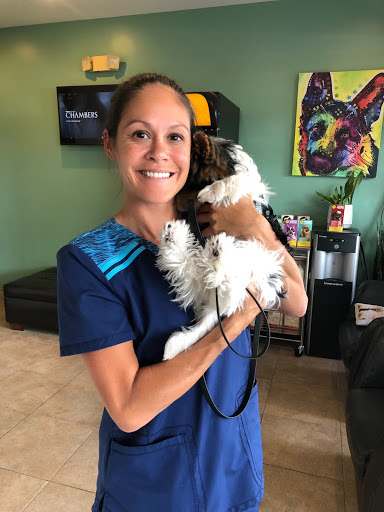 Miami Beach Animal Wellness and Specialty Center image