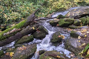 Marshall Park image