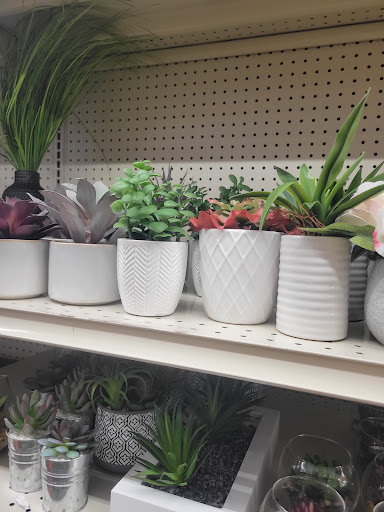 Discount Store «Big Lots», reviews and photos, 409 N Litchfield Rd, Goodyear, AZ 85338, USA