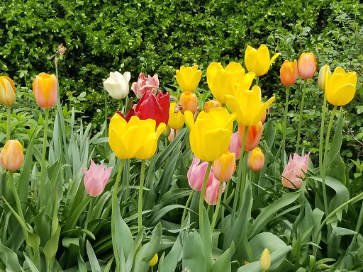 Park «Carl Schurz Park», reviews and photos, East 86th Street & East End Ave, New York, NY 10028, USA