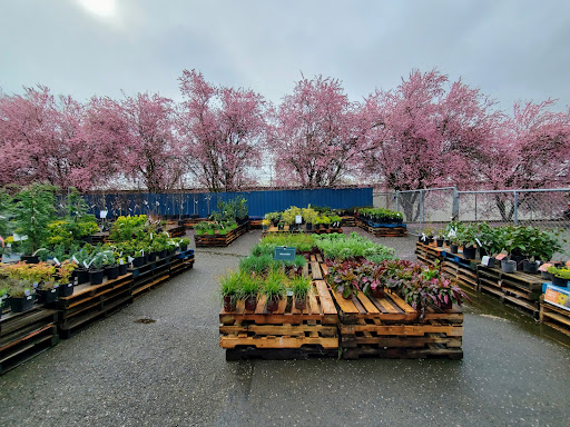 Hardware Store «McLendon Hardware», reviews and photos, 1111 Fryar Ave, Sumner, WA 98390, USA