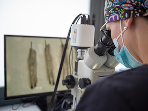 Photo n°10 de NHT - Natural Hair Transplant - Greffe implant capillaire cheveux à Avignon ()