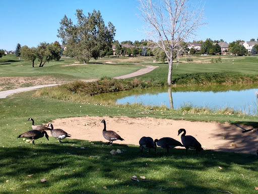 Golf Club «Eagle Trace Golf Club», reviews and photos, 1200 Clubhouse Dr, Broomfield, CO 80020, USA