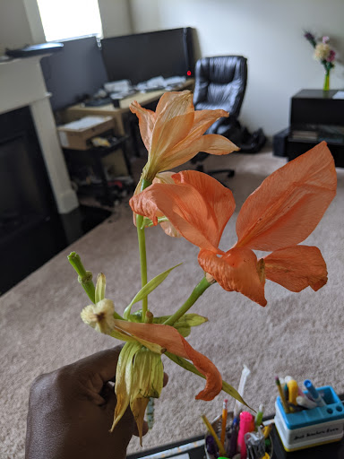 Florist «Huddleston Florist», reviews and photos, 325 Glynn St N, Fayetteville, GA 30214, USA