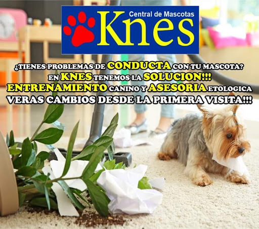 Knes sucursal rio vista otay