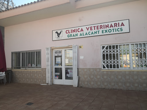Clínica Veterinaria Gran Alacant Exotics