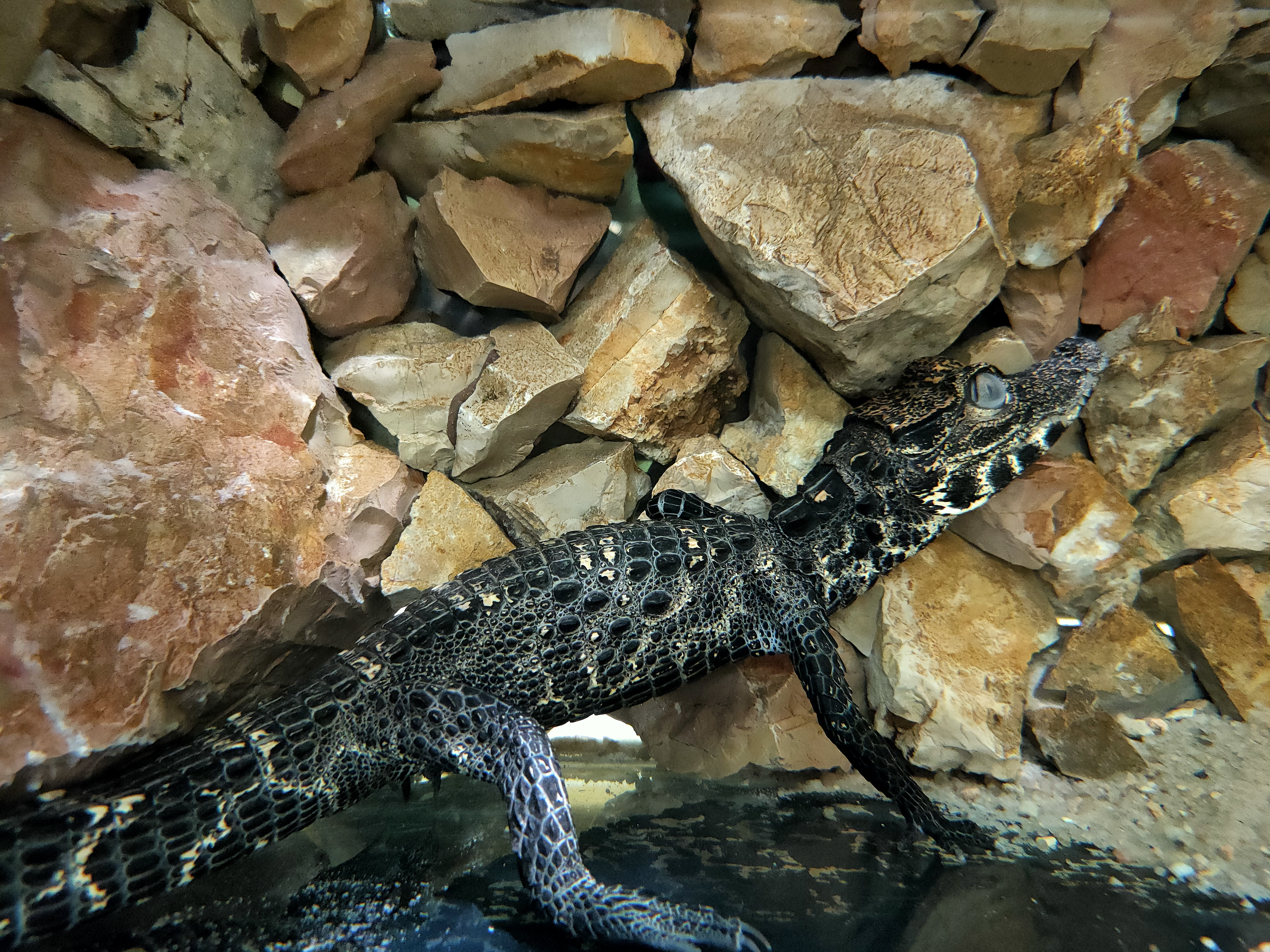Photo n° 3 de l'avis de geoffroy.e fait le 15/06/2021 à 15:53