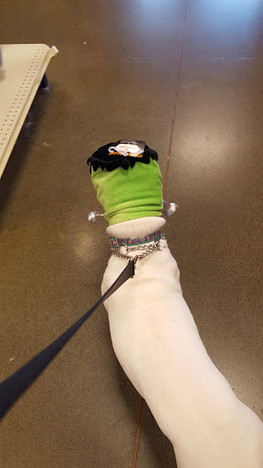 Pet Supply Store «PetSmart», reviews and photos, 3101 Market Center Drive, Morrisville, NC 27560, USA