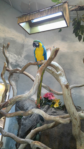 Craft Store «Michaels», reviews and photos, 100-B Independent Way, Brewster, NY 10509, USA