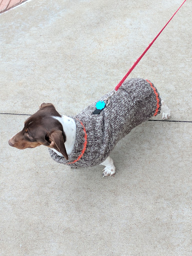 Pet Supply Store «PetSmart», reviews and photos, 3096 N Eastman Rd, Longview, TX 75605, USA