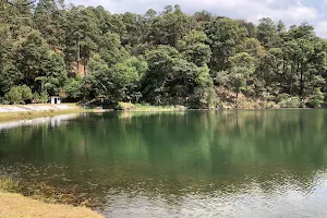 Presa Benito Juarez image