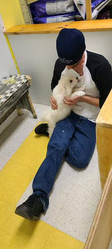 Pet Store «Yuppy Puppy Pet Shop», reviews and photos, 292 Frantz Rd, Stroudsburg, PA 18360, USA