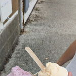 Photo n° 5 de l'avis de Clarisse.S fait le 05/08/2023 à 18:45 pour Ambrosia à Saint-Denis-d'Oléron