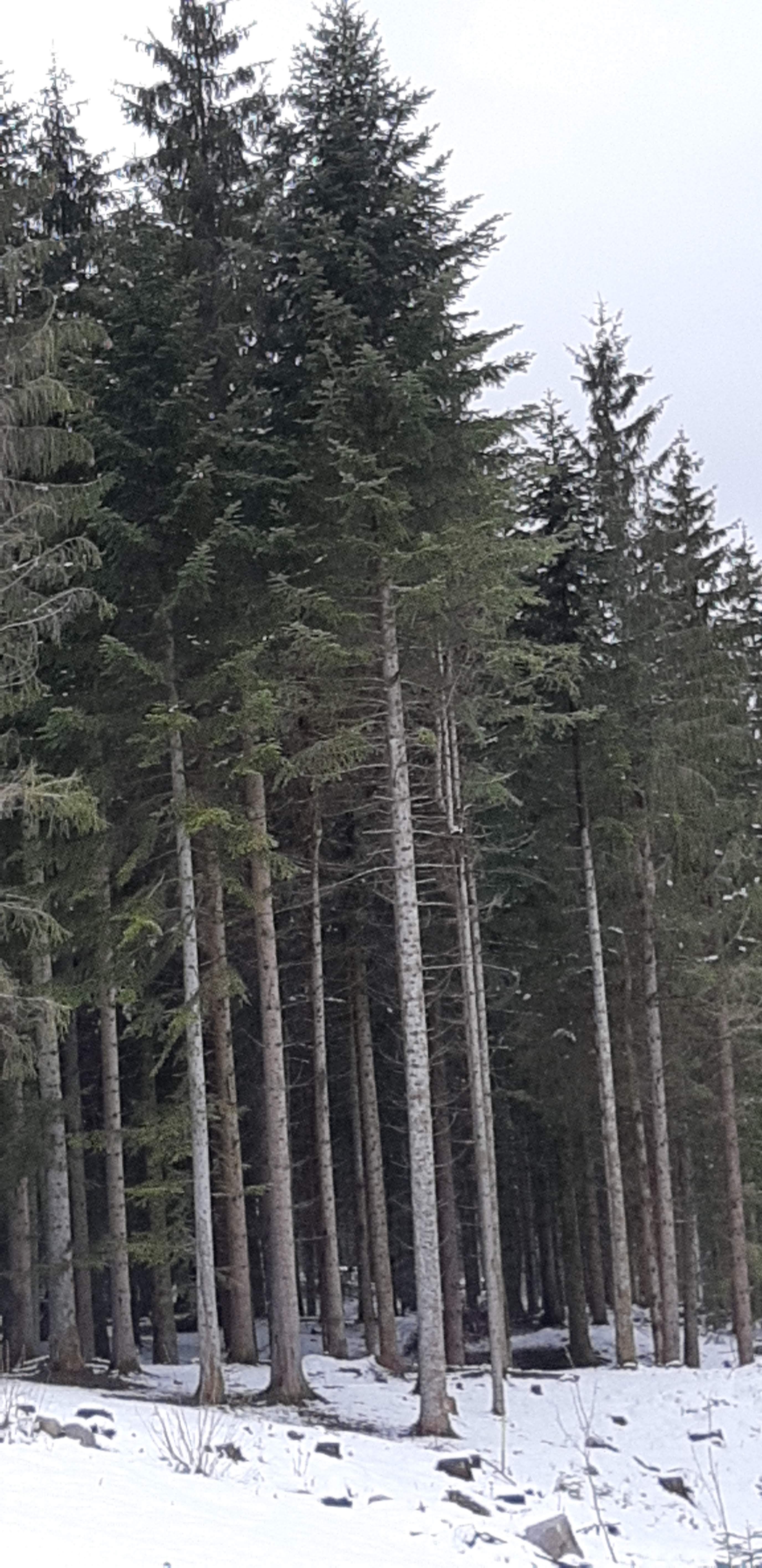 Photo n° 11 de l'avis de betty.o fait le 14/04/2019 à 10:33