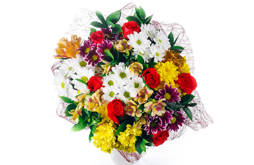 Florist «Cyber-Florist.com», reviews and photos, 4262 Entre Ct k, Chantilly, VA 20151, USA