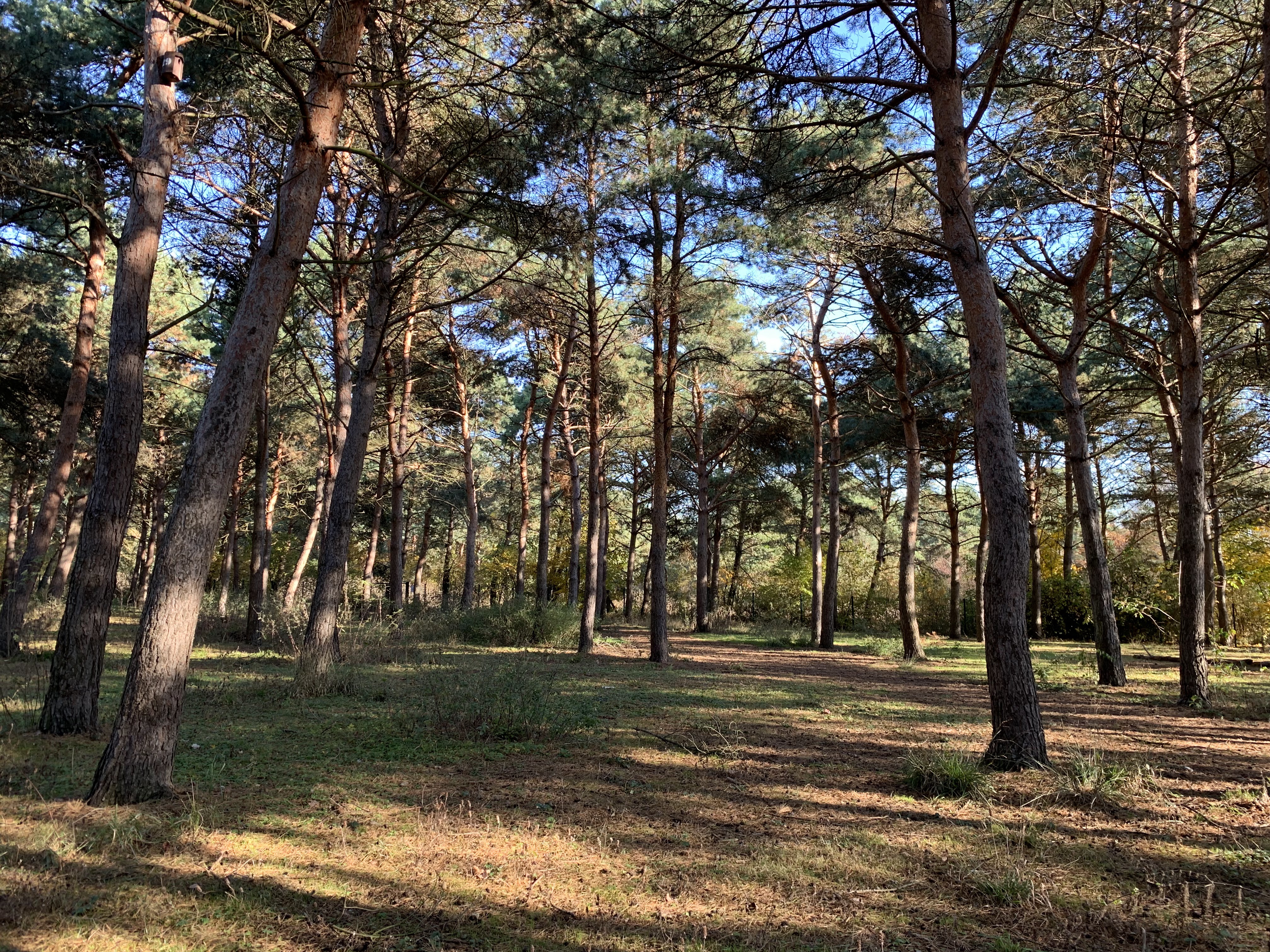 Photo n° 5 de l'avis de Emeline.r fait le 14/11/2018 à 17:57