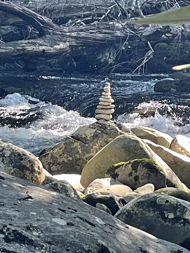 Bicycle Store «Fat Frogs Bike & Fitness», reviews and photos, 1169 Nimmo Pkwy #232, Virginia Beach, VA 23456, USA