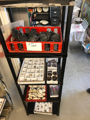 Gift Shop «Stone Hut Fossil Shop», reviews and photos, 1184 FM 205, Glen Rose, TX 76043, USA