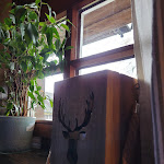 Photo n°4 de l'avis de Yvonne.o fait le 06/01/2023 à 12:27 sur le  Hirschen à Steinen