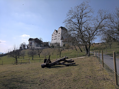 Parkplatz - Schloss Wildegg