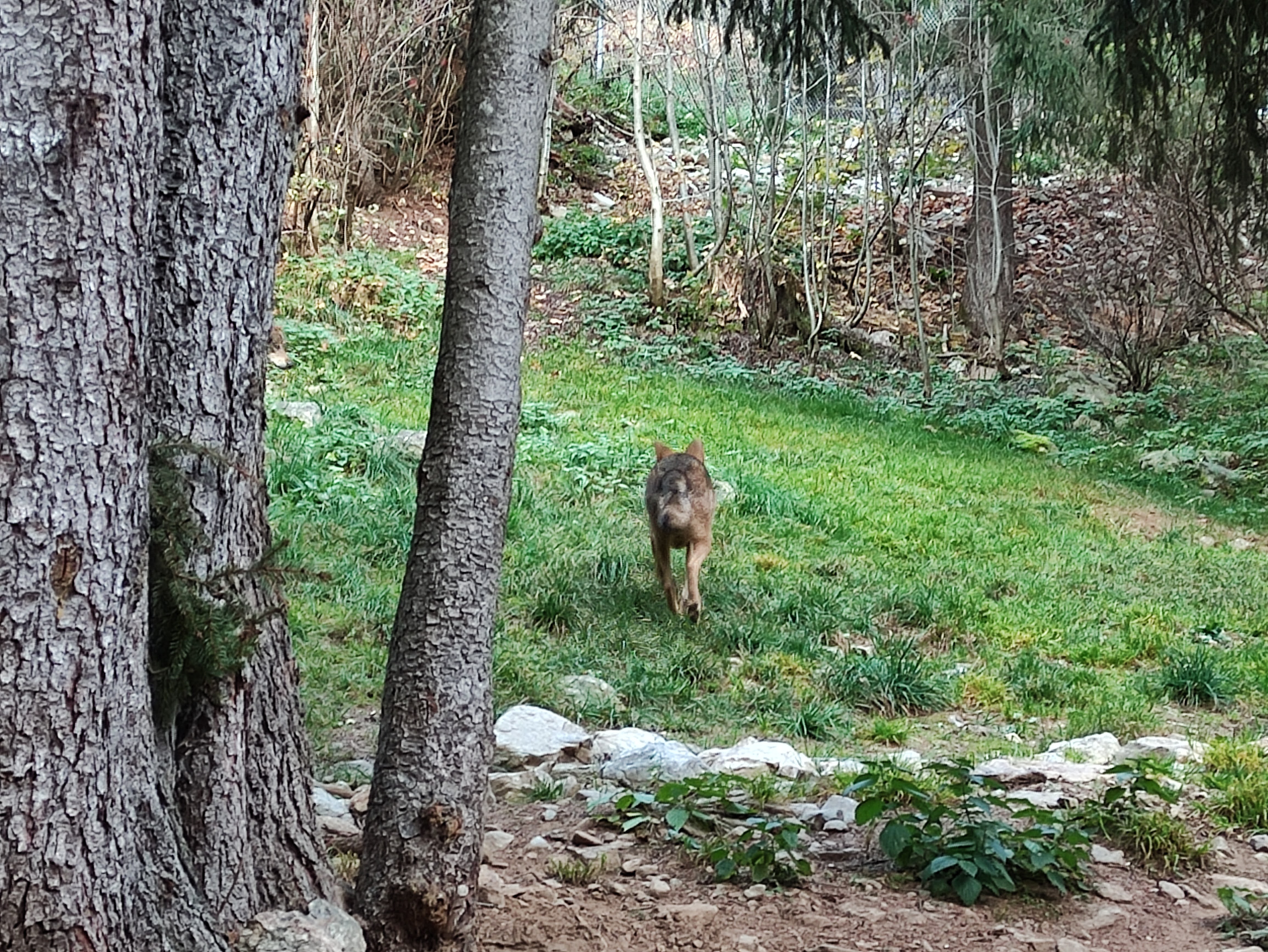 Photo n° 4 de l'avis de Alexandre.A fait le 17/11/2022 à 20:58