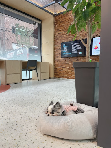 서울종합동물병원방배 SEOUL VET CLINIC, SEOUL VET CARGO, ICSB KOREA (DIRECTOR: IRUO JUNG D.V.M.)