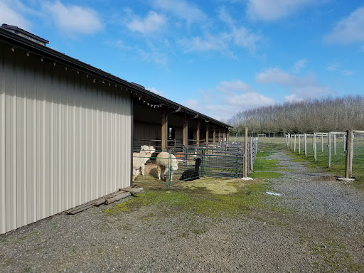 Livestock Breeder «Alpacas at Marquam Hill Ranch», reviews and photos, 35835 OR-213, Molalla, OR 97038, USA