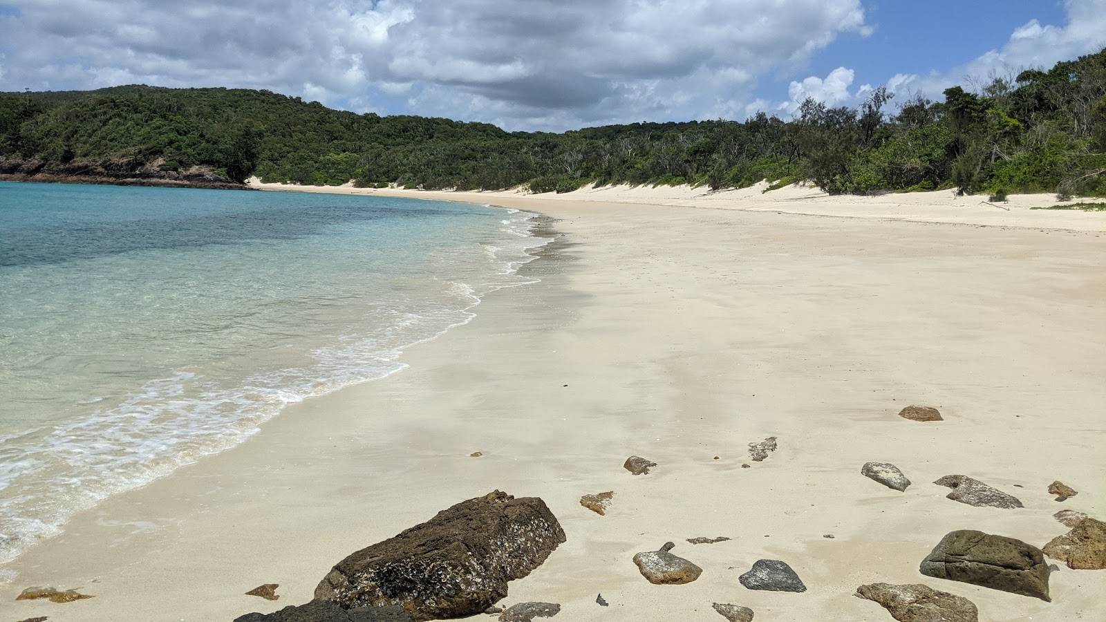 Foto de Chance Bay localizado em área natural