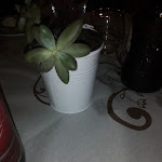 Photo n°4 de l'avis de Tony.a fait le 16/06/2019 à 20:45 sur le  Agriturismo San Biagio à Nocera Inferiore