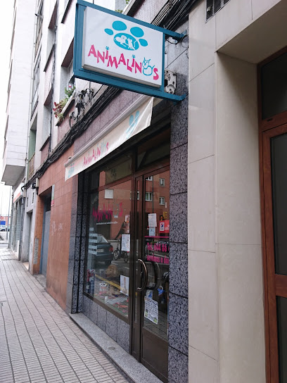 Animalinos - Servicios para mascota en Gijón