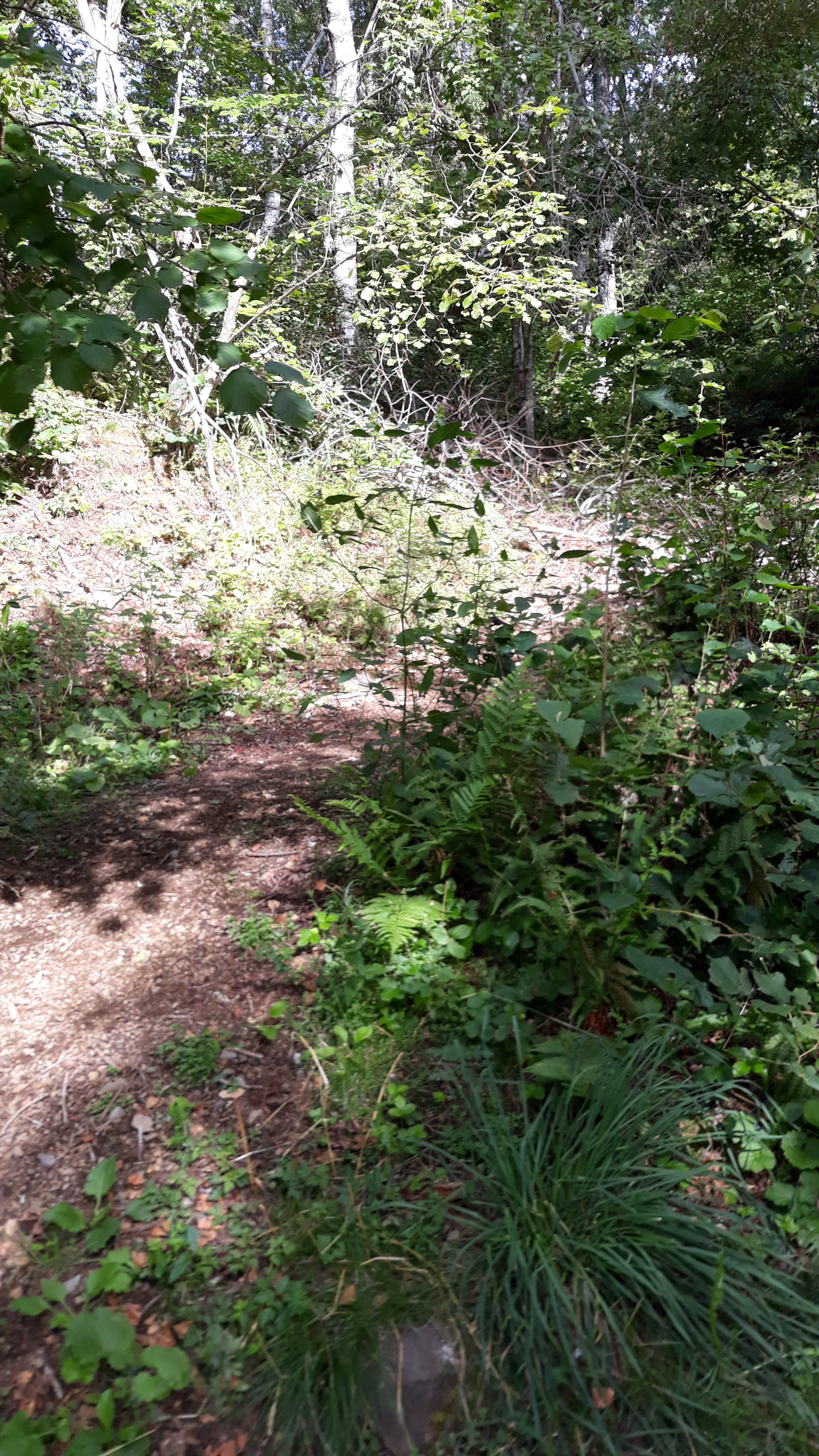 Photo n° 13 de l'avis de Mathis.l fait le 17/08/2019 à 07:13